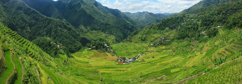 Batad Transient House Hotel Banaue Eksteriør billede
