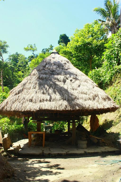 Batad Transient House Hotel Banaue Værelse billede