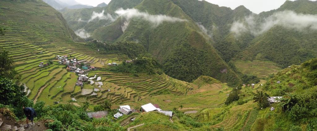Batad Transient House Hotel Banaue Eksteriør billede