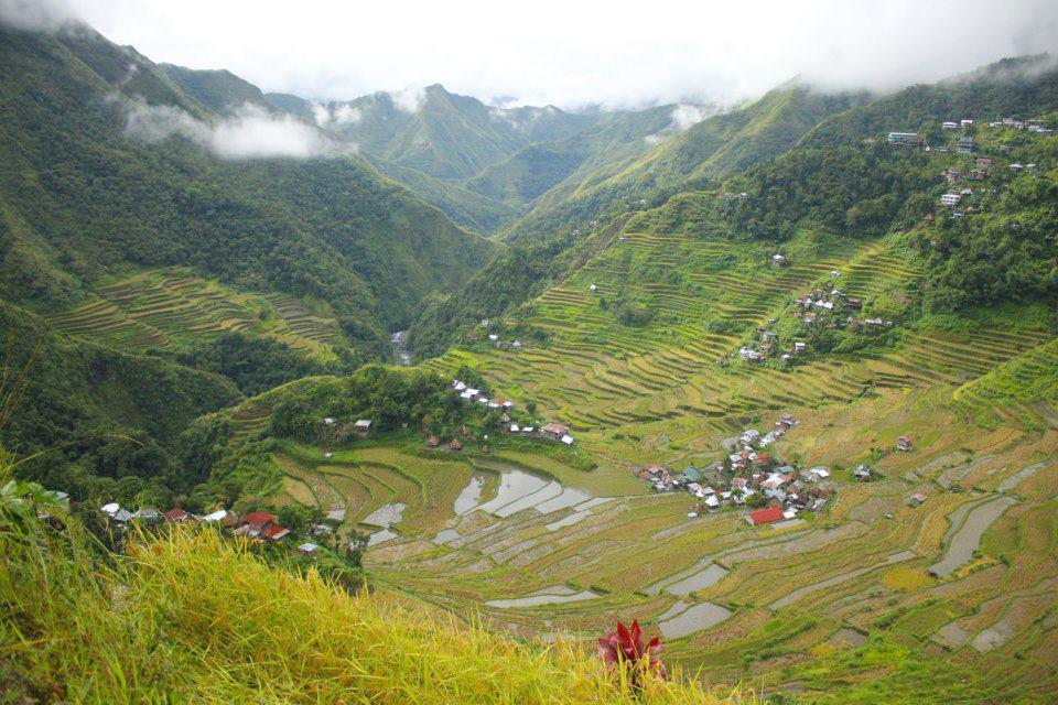 Batad Transient House Hotel Banaue Eksteriør billede