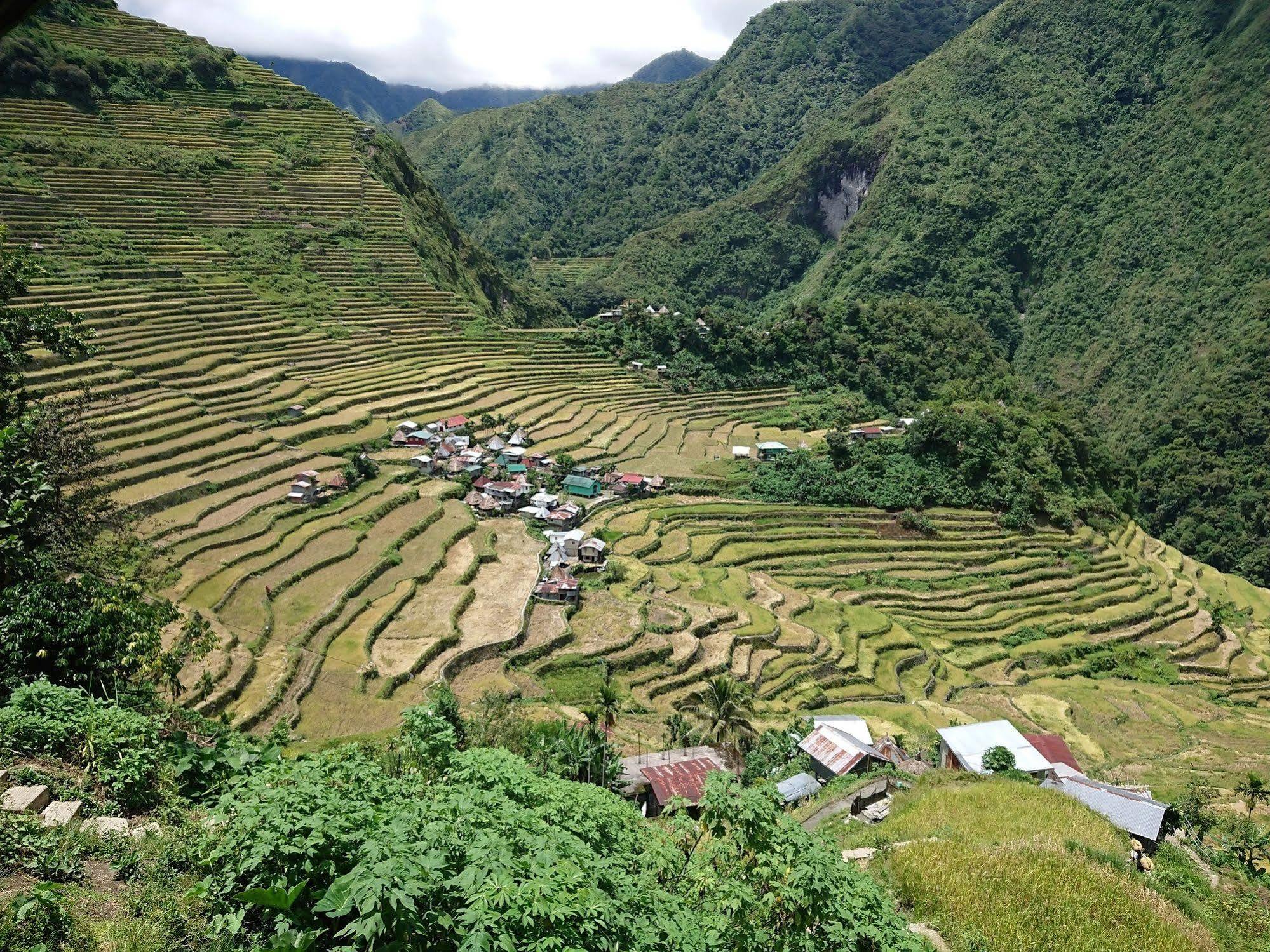 Batad Transient House Hotel Banaue Eksteriør billede