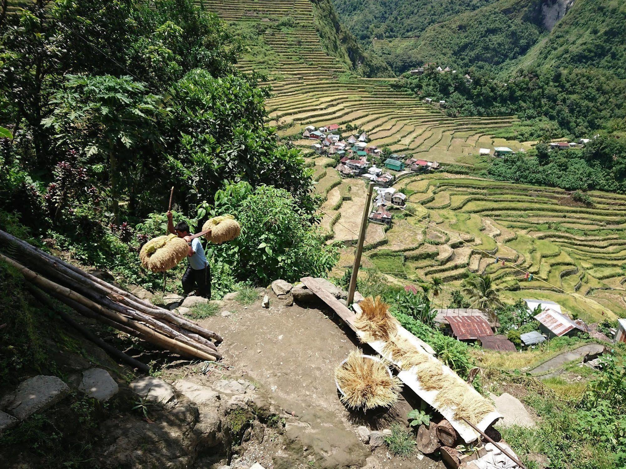 Batad Transient House Hotel Banaue Eksteriør billede
