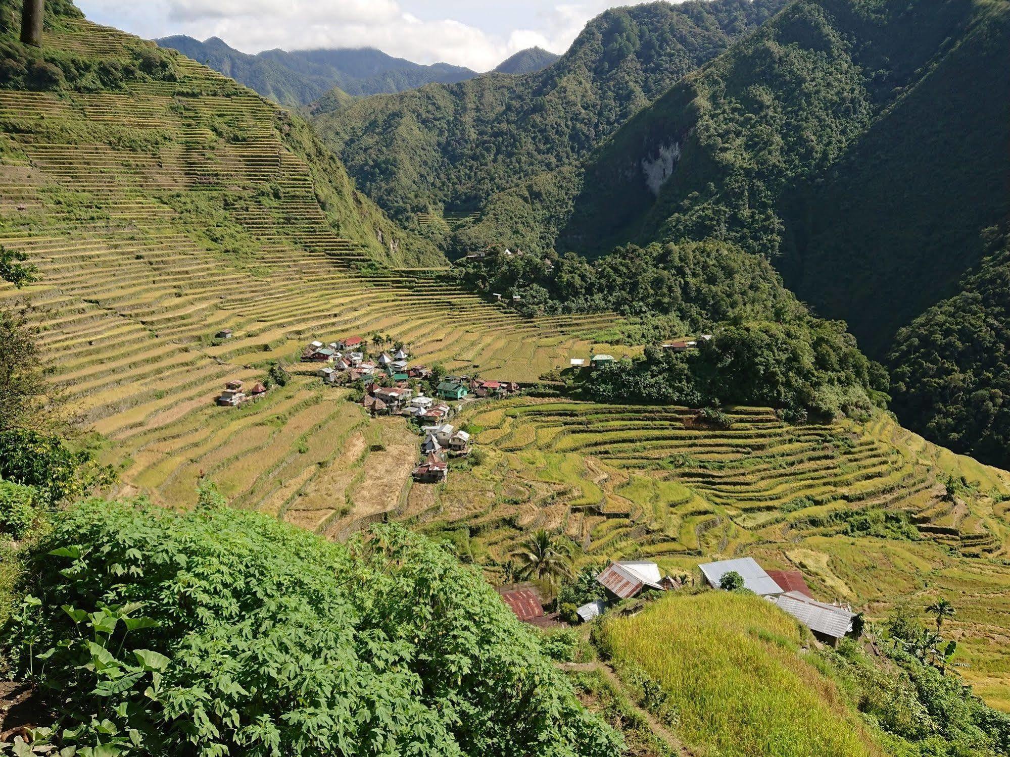 Batad Transient House Hotel Banaue Eksteriør billede