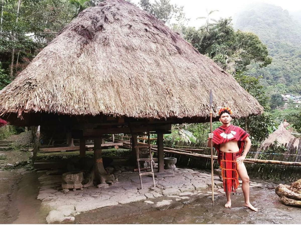 Batad Transient House Hotel Banaue Eksteriør billede