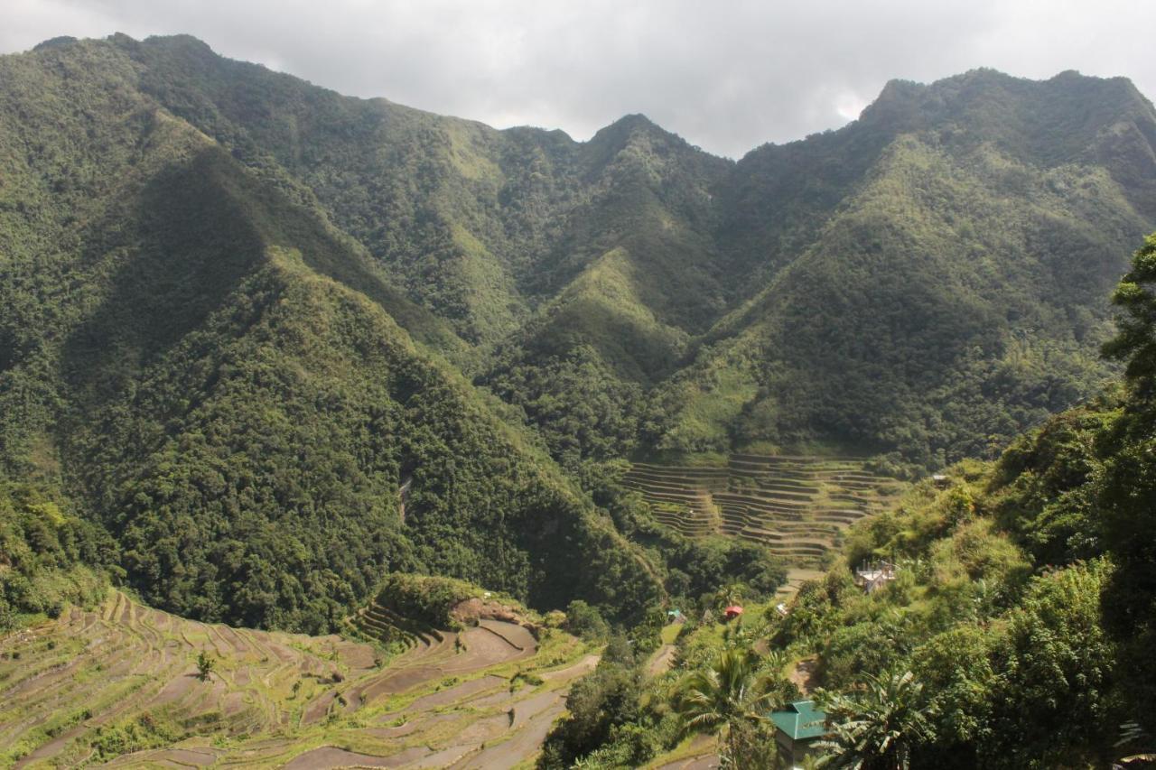 Batad Transient House Hotel Banaue Eksteriør billede